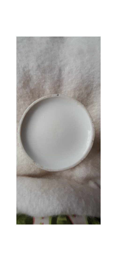 Mléčenka z dávna — foto 5
