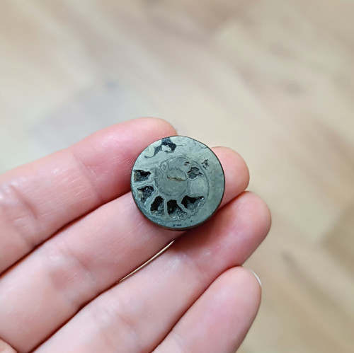 Pyritový Amonit, ID 4101, průměr 20 mm — foto 3
