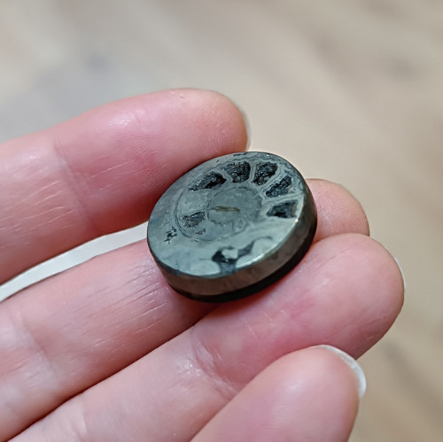 Pyritový Amonit, ID 4101, průměr 20 mm — foto 2