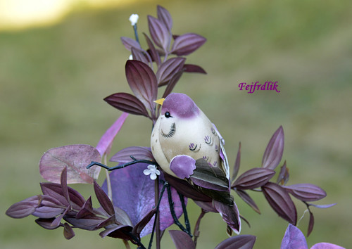 Fialový podzim :).. — foto 2