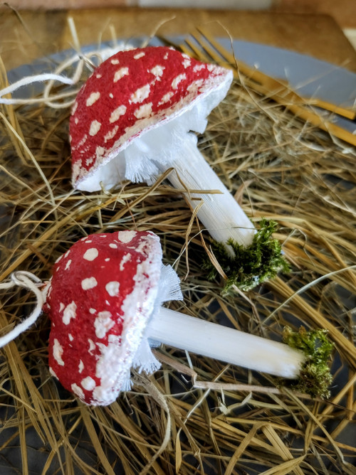 Muchomůrky — foto 2