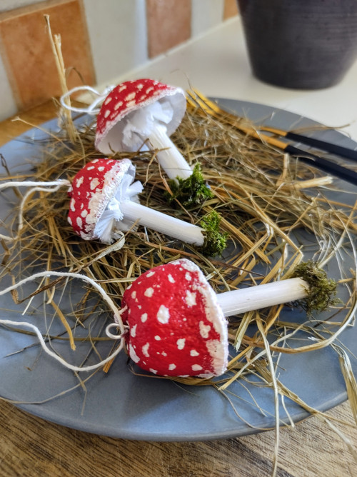 Muchomůrky — foto 3