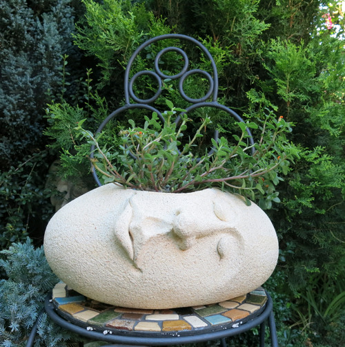 Květník -pan Hlava — foto 4