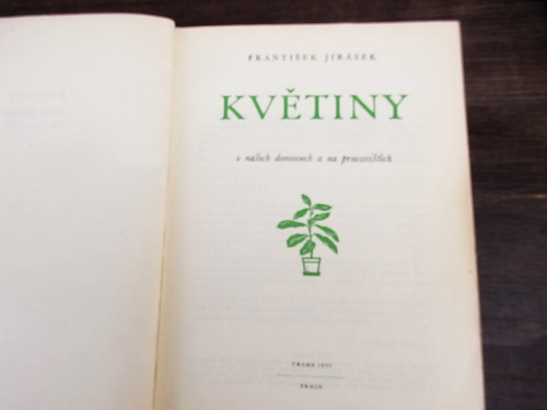 Květiny — foto 2