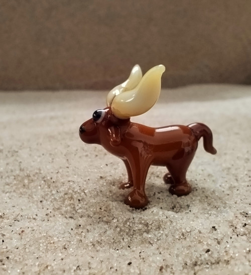 Watusi — foto 3