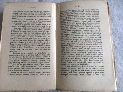 Pražský domácíček — foto 4