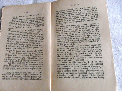 Pražský domácíček — foto 3