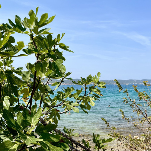 Je po dešti — foto 6