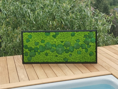 Mechový panel, obraz 60x140 cm — foto 3