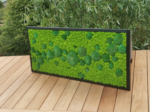 Mechový panel, obraz 60x140 cm — foto 5