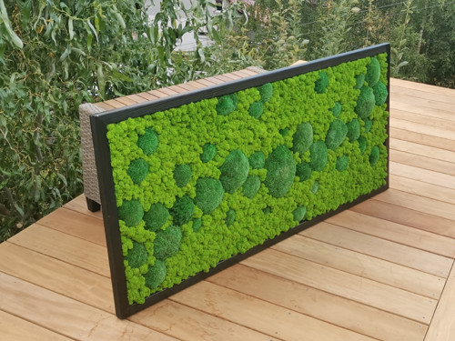 Mechový panel, obraz 60x140 cm — foto 4