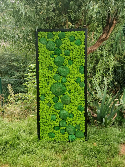 Mechový panel, obraz 60x140 cm — foto 2