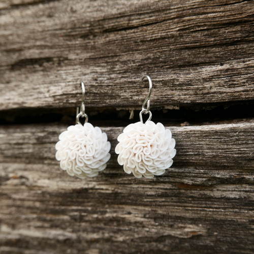 Obláčkové — foto 2