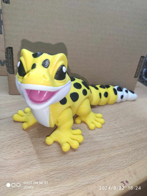Malý Leopardí Gekon — foto 2