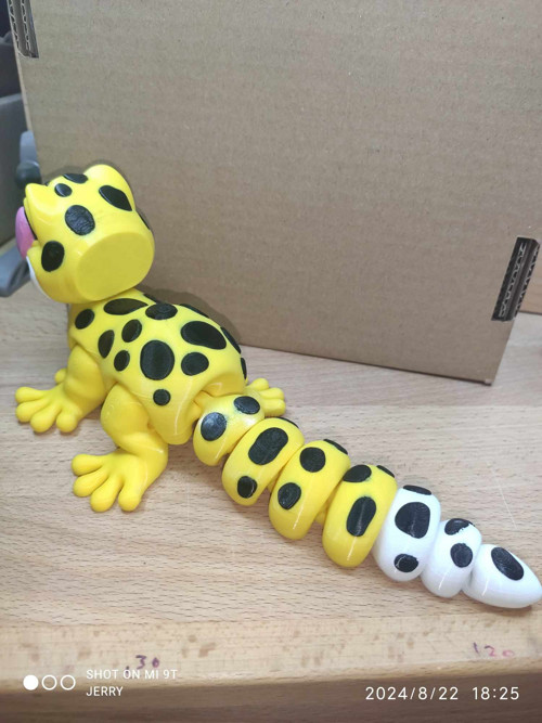 Malý Leopardí Gekon — foto 3