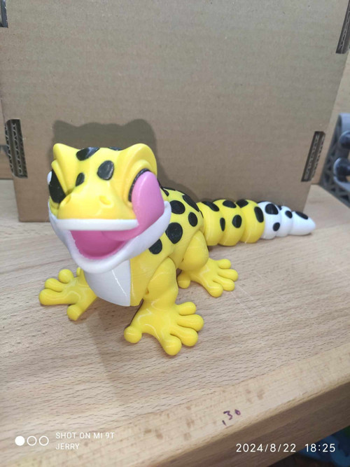 Malý Leopardí Gekon s jazykem — foto 2
