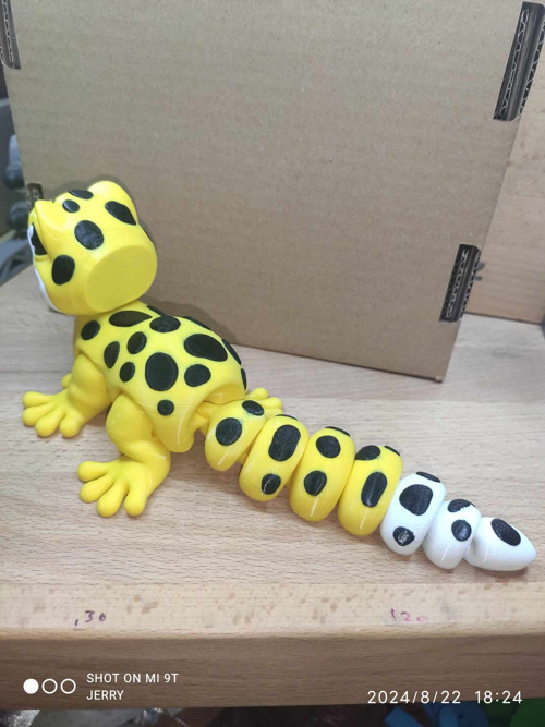 Malý Leopardí Gekon s jazykem — foto 3