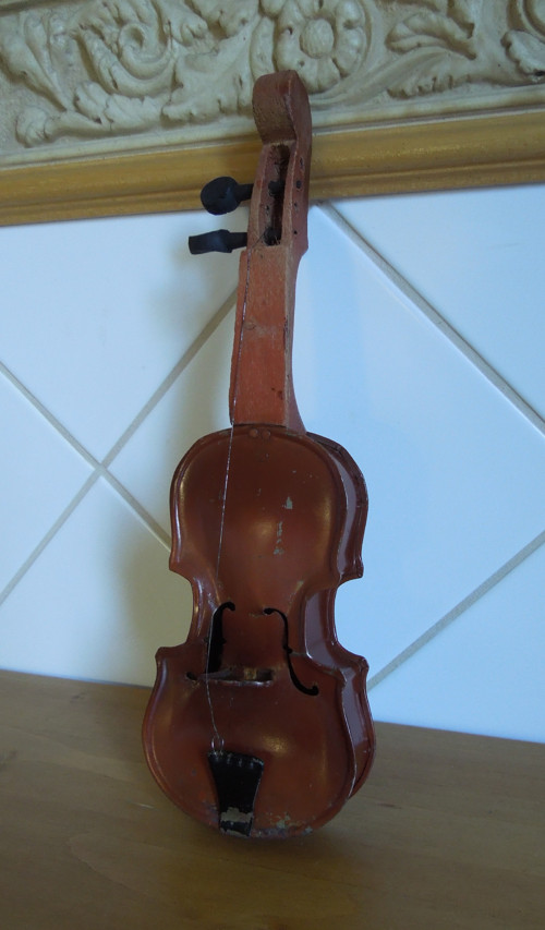 Vodníkovy housličky — foto 2