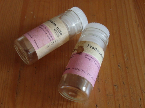 Prothiaden mite — foto 4