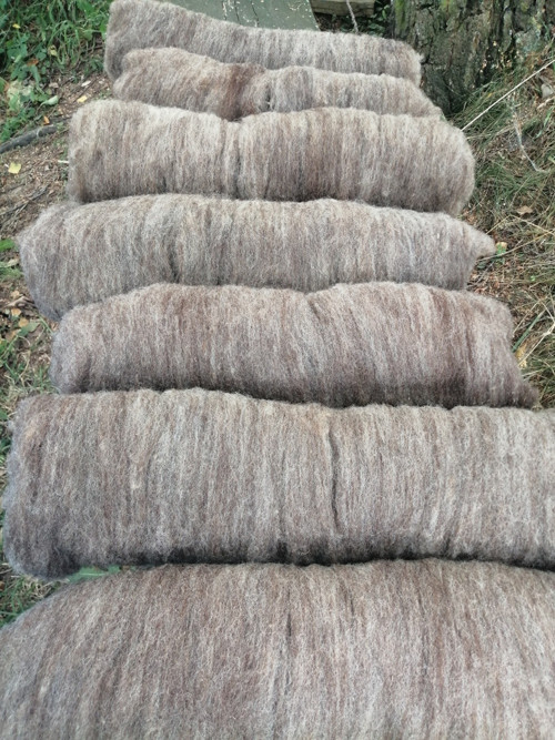 Česance - přírodní melír — foto 2