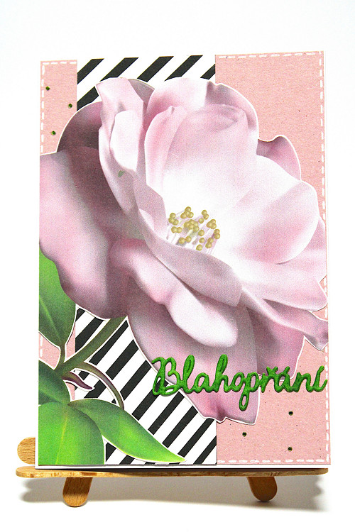 Blahopřání 15 — foto 2