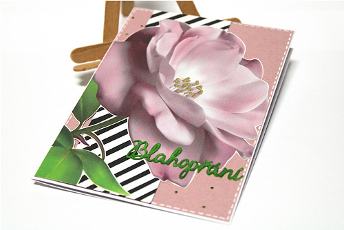 Blahopřání 15 — foto 3