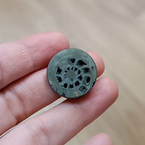 Pyritový Amonit, ID 4144, průměr 22 mm — foto 3