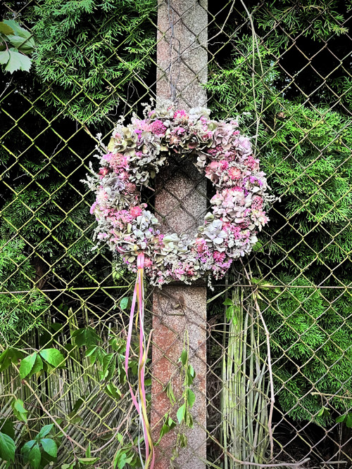 Půvabná hortenzie — foto 4