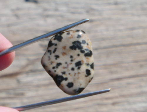 Jaspis dalmatin (23 mm) V466 — foto 3