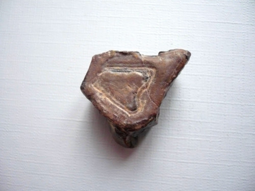 Čokoláda - chalcedon 27 mm, č.18f — foto 2