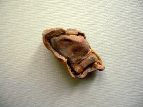 Čokoláda - chalcedon 33 mm, č.25f — foto 2