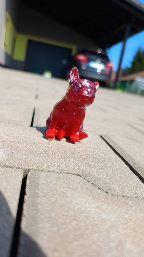 French Bulldog Red — foto 2