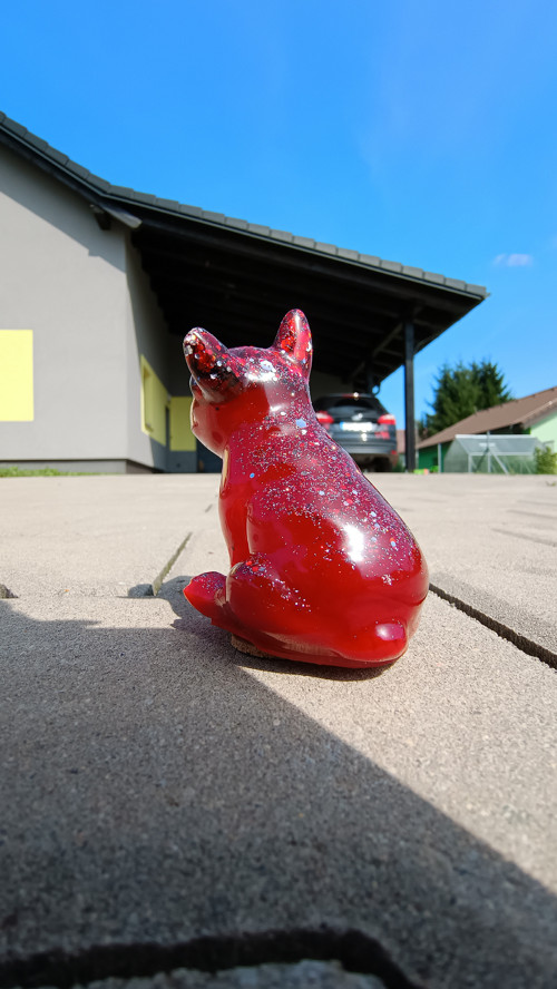 French Bulldog Red — foto 4