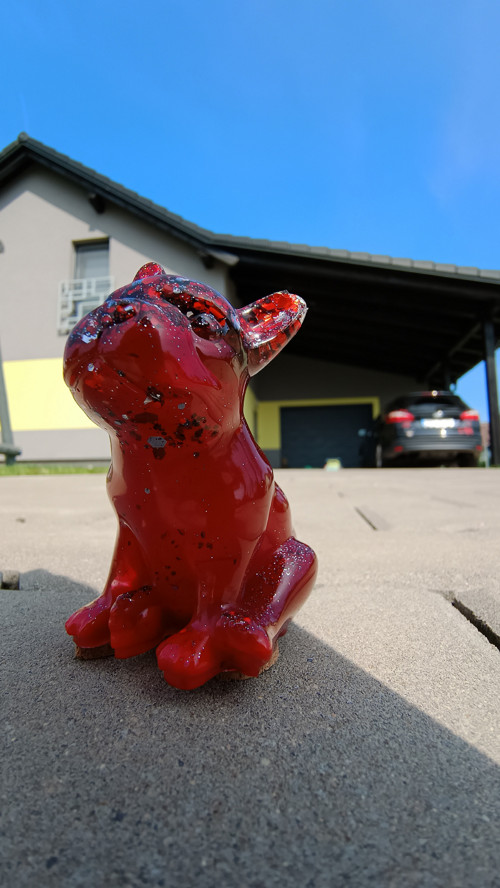 French Bulldog Red — foto 3