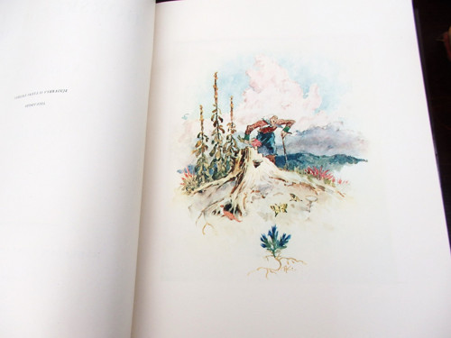 Horské kořeny — foto 3