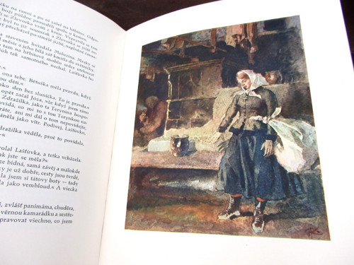 Horské kořeny — foto 4