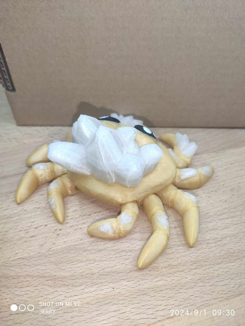 Krab s krystaly — foto 2