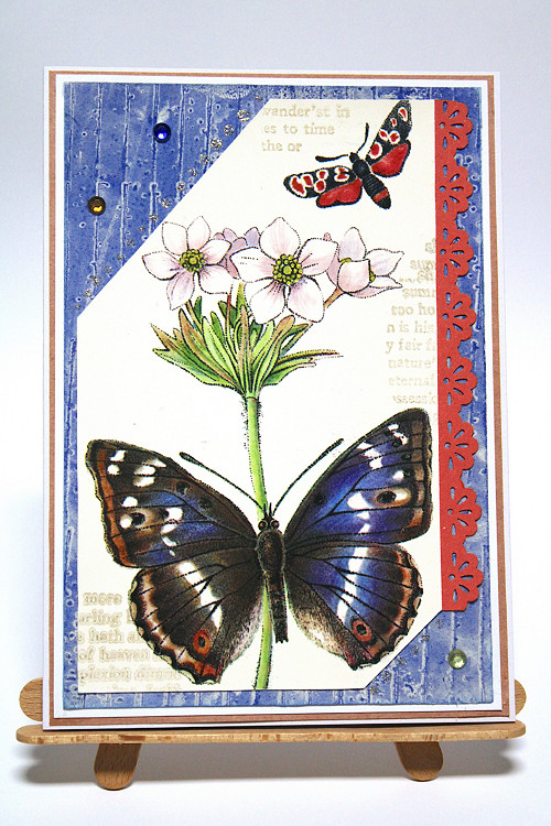 Bez textu 43 — foto 2