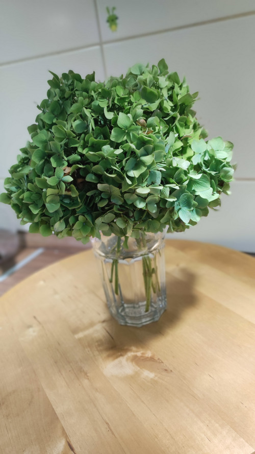 Pugétek Hortenzie green koule — foto 6