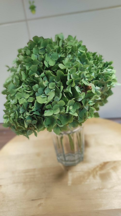 Pugétek Hortenzie green koule — foto 5