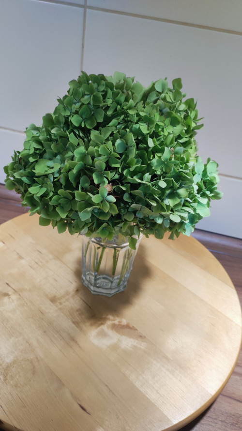 Pugétek Hortenzie green koule — foto 2