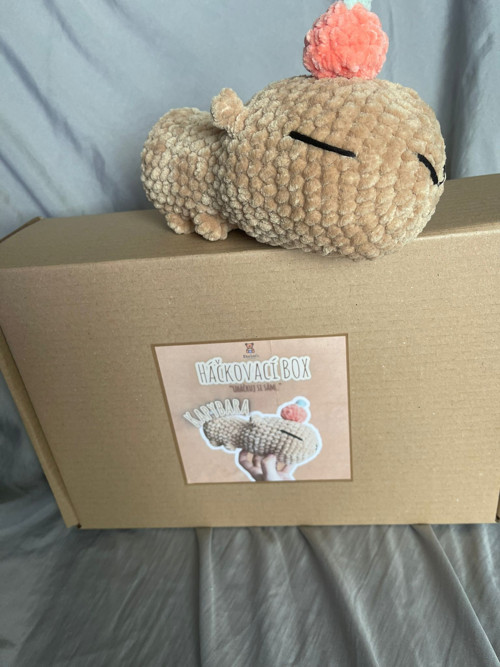 Háčkovací BOX "Uháčkuj si sám.." - Kapybara — foto 2