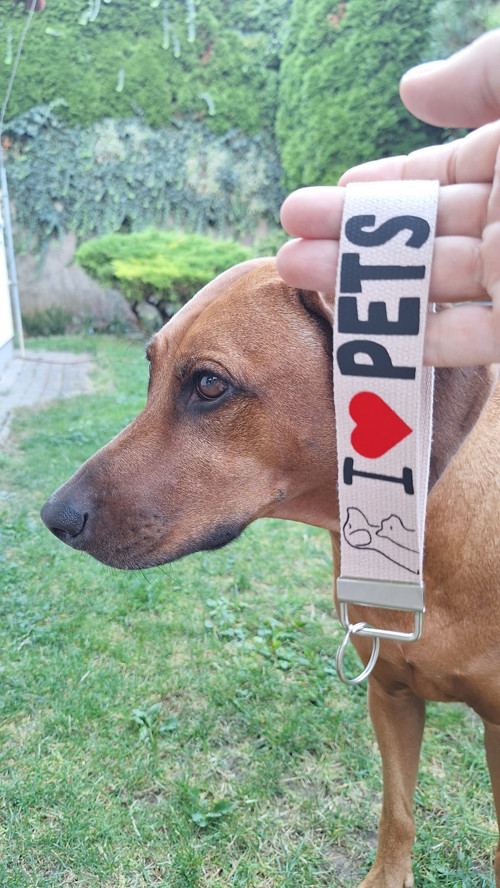 Klíčenka I Love Pets — foto 4