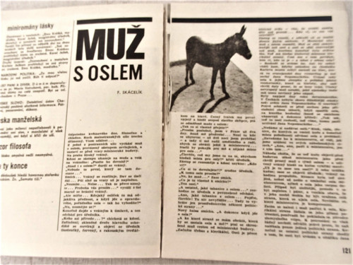 Signál — foto 5