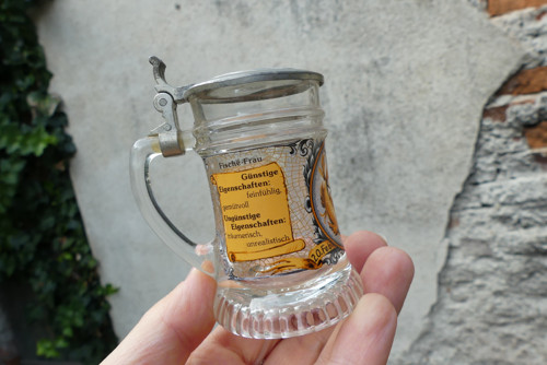 Ryby...panák jako korbel — foto 3