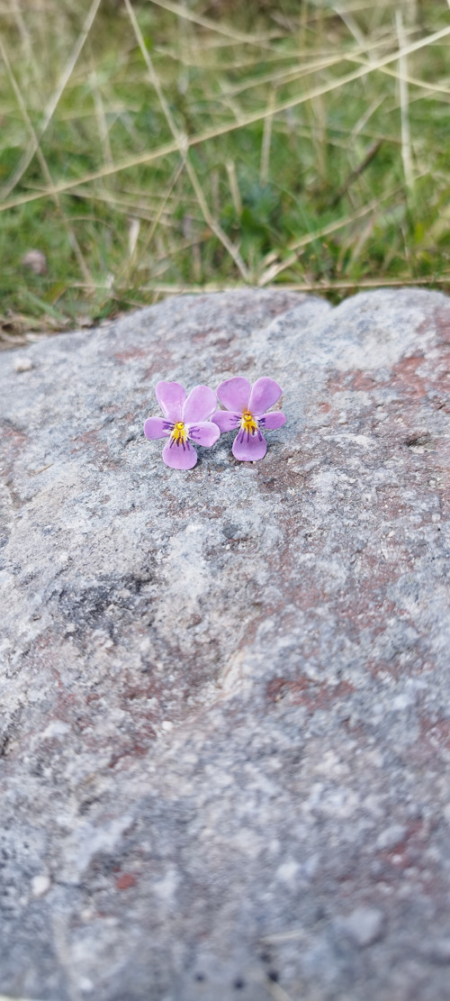 Violka — foto 2
