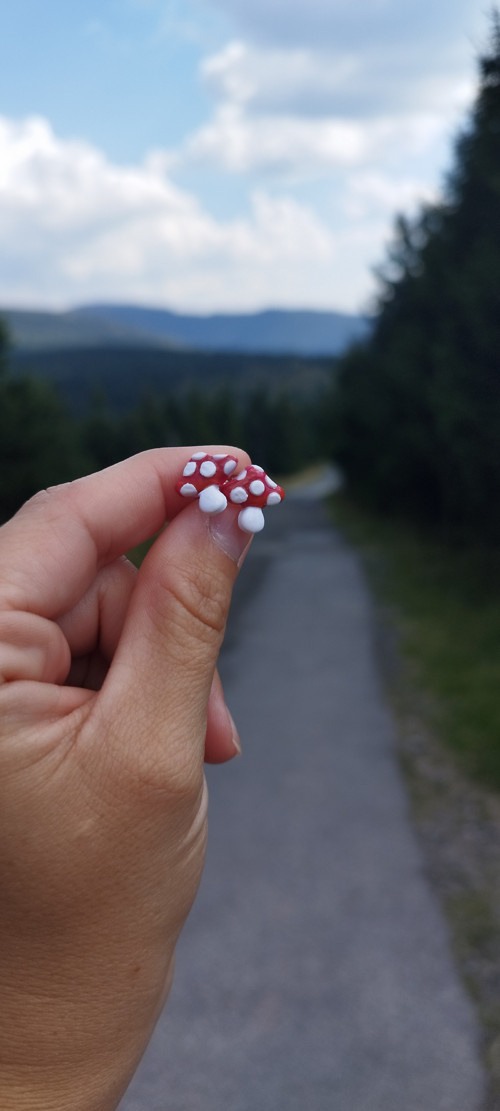 Muchomůrka — foto 2