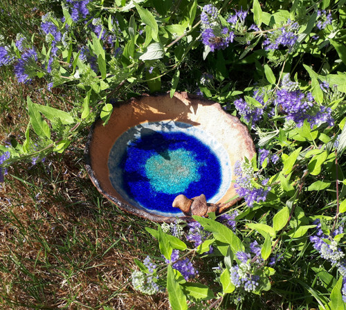 Studánka pro ptáčky, včelky i ježky — foto 2
