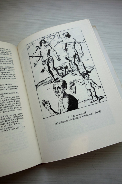 Jan Amos Komenský, O sobě — foto 4