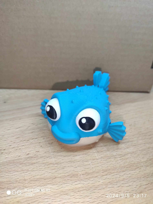 Naštvaná puffer ryba - normální — foto 2